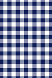 Milky - Gingham Dress - Navy