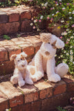 Nana Huchy - Buddy The Dog