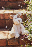 Nana Huchy - Buddy The Pup