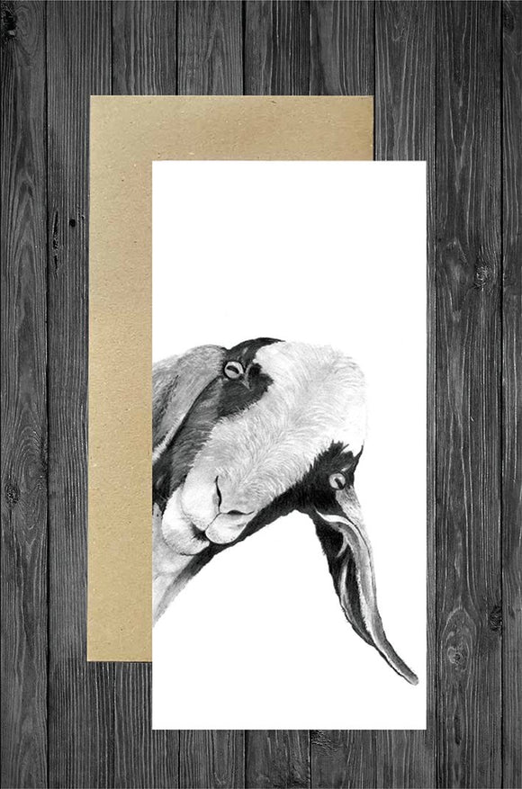 Cathy Hamilton Artworks - Peeking Goat Card