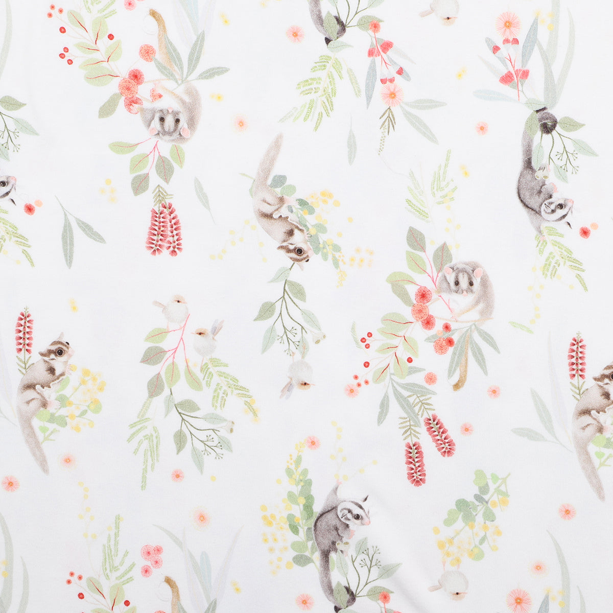 Bebe - Possum Bunny Rug – Wrapped Cootamundra